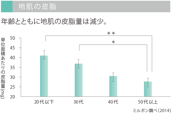 地肌の皮脂