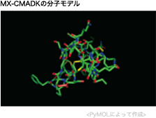 MX-CMADKの分子モデル