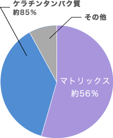 円グラフ