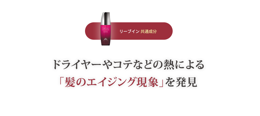 リーブイン共通成分 ドライヤーやコテなどの熱による「髪のエイジング現象」を発見