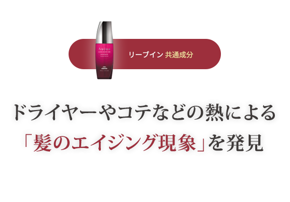 リーブイン共通成分 ドライヤーやコテなどの熱による「髪のエイジング現象」を発見